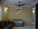 3 BHK Penthouse for Rent in Raja Annamalaipuram